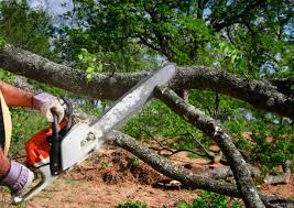 Best Lot and Land Clearing  in Troy, TX